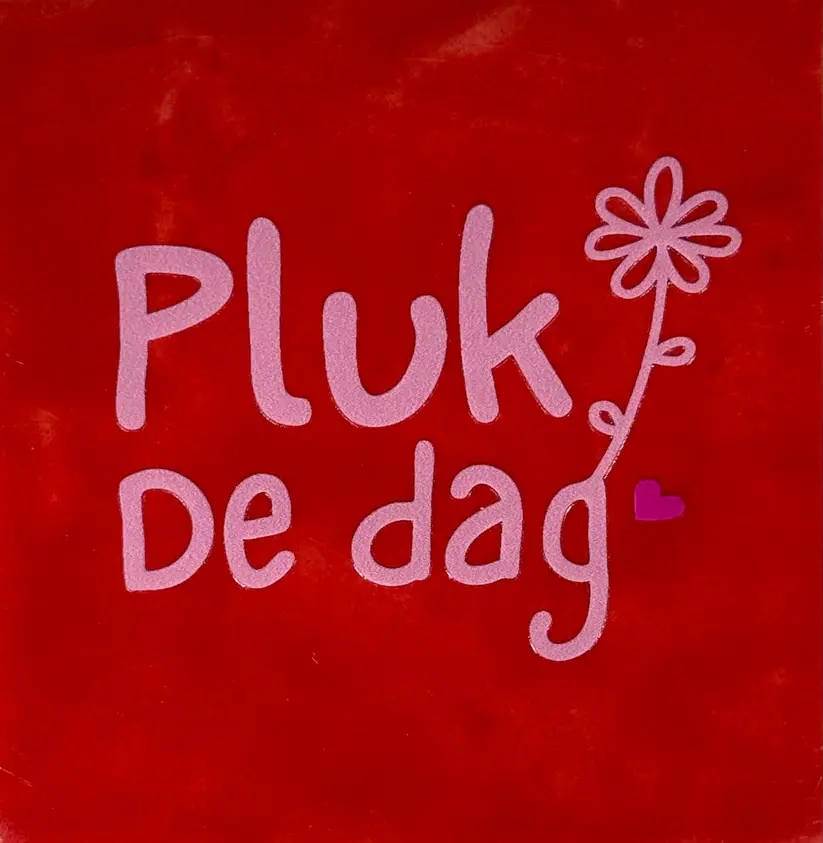 Tegeltje Pluk de dag  rood