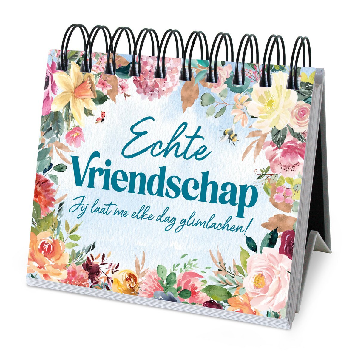 365-dagen cadeauboek - Echte vriendschap