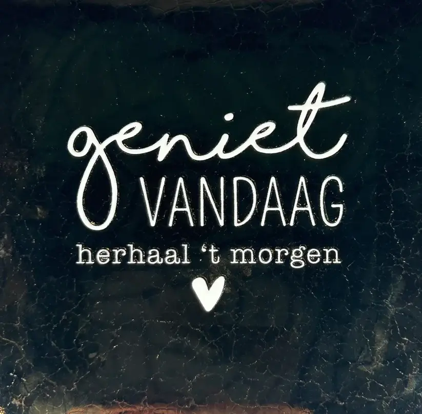 Tegeltje "geniet vandaag.. goud