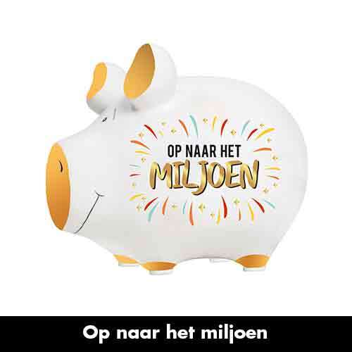 Spaarpot Op naar het miljoen