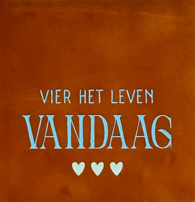 Tegeltje 'vier het leven vandaag' terra/warmblauw(lichtgroen)