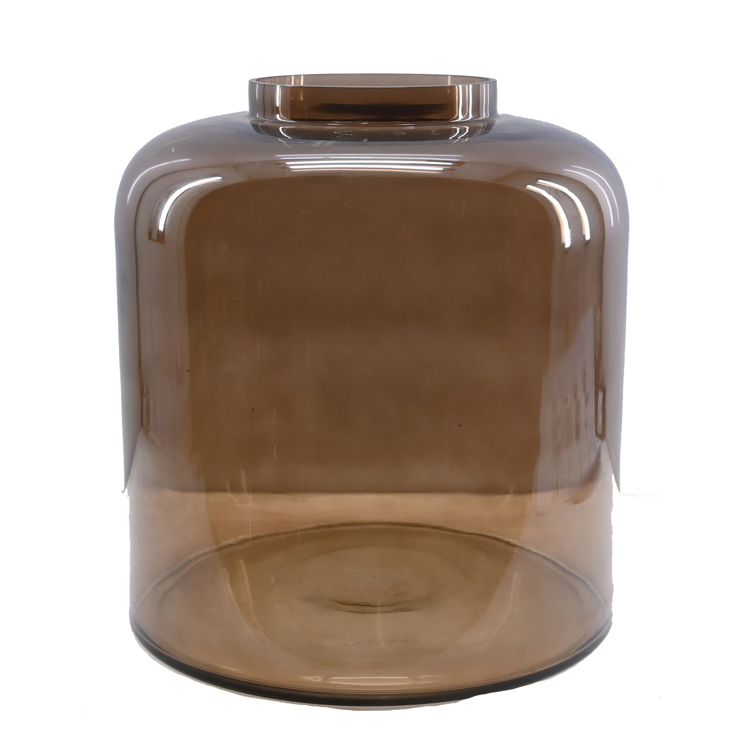 Home society Vaas Caledon BR S