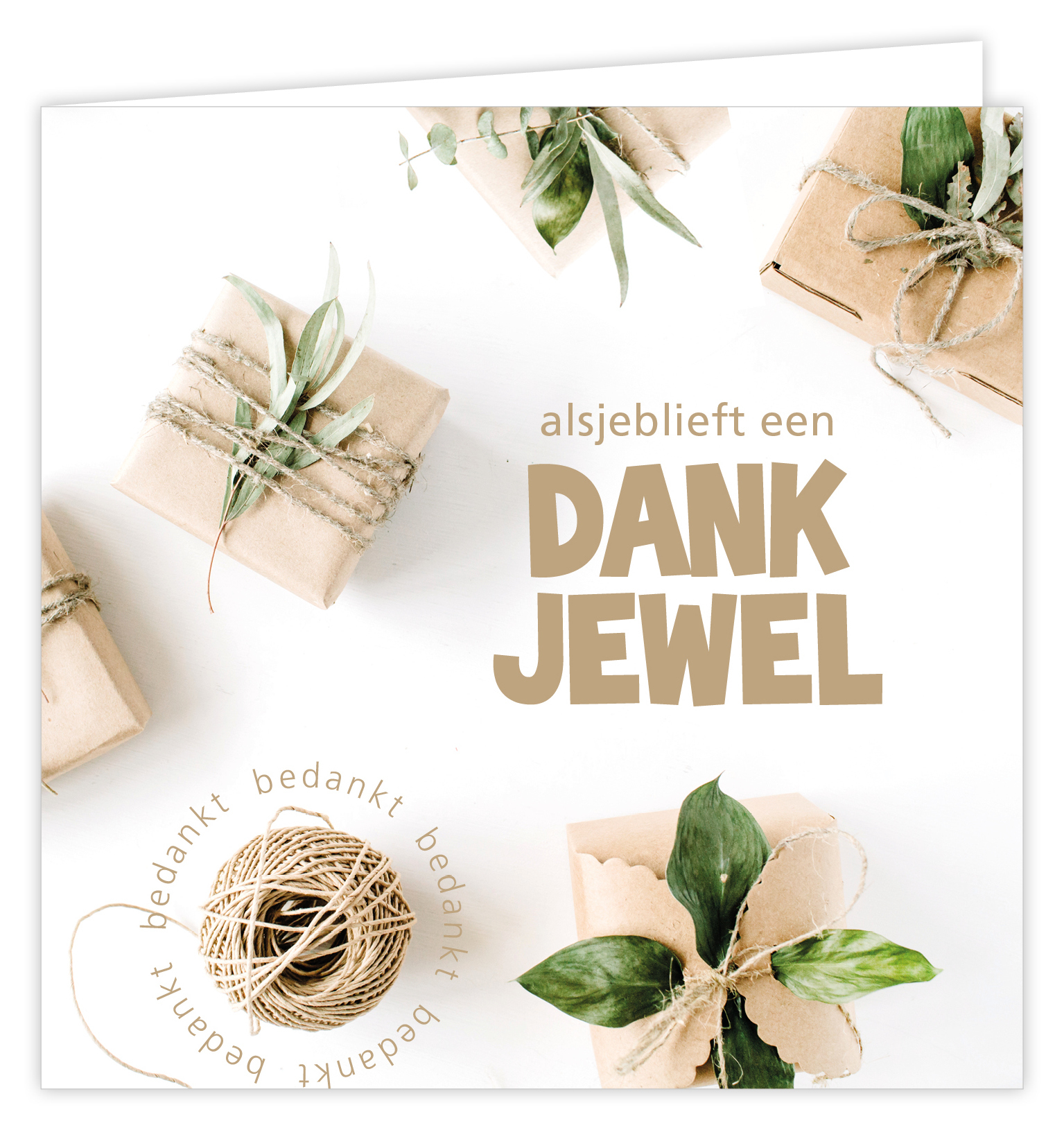 Dream Alsjeblieft een dankjewel