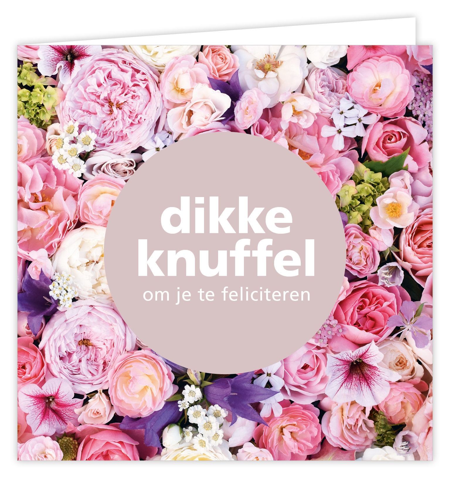 Dream Dikke knuffel om je te feliciteren