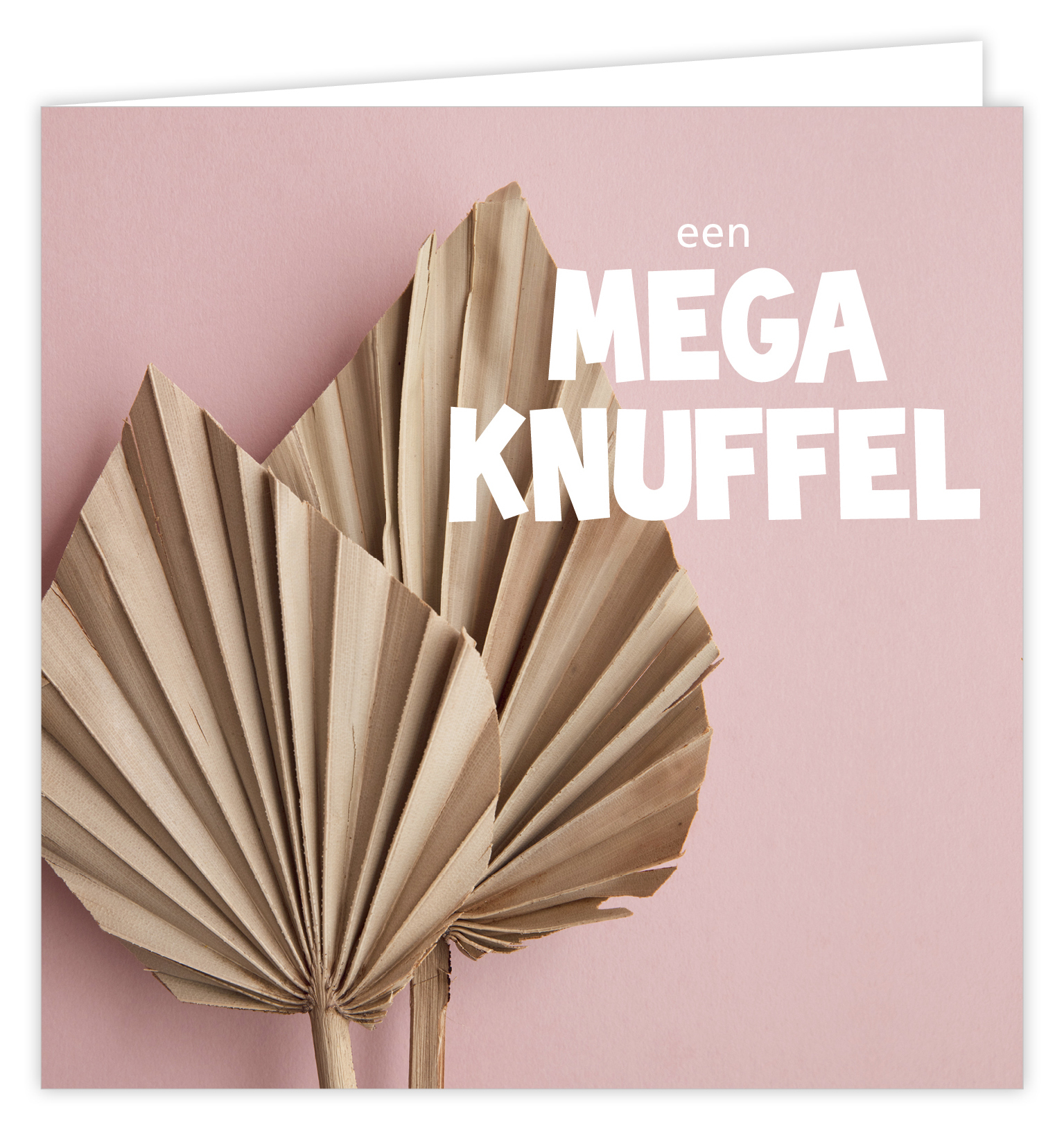 Dream Een mega knuffel