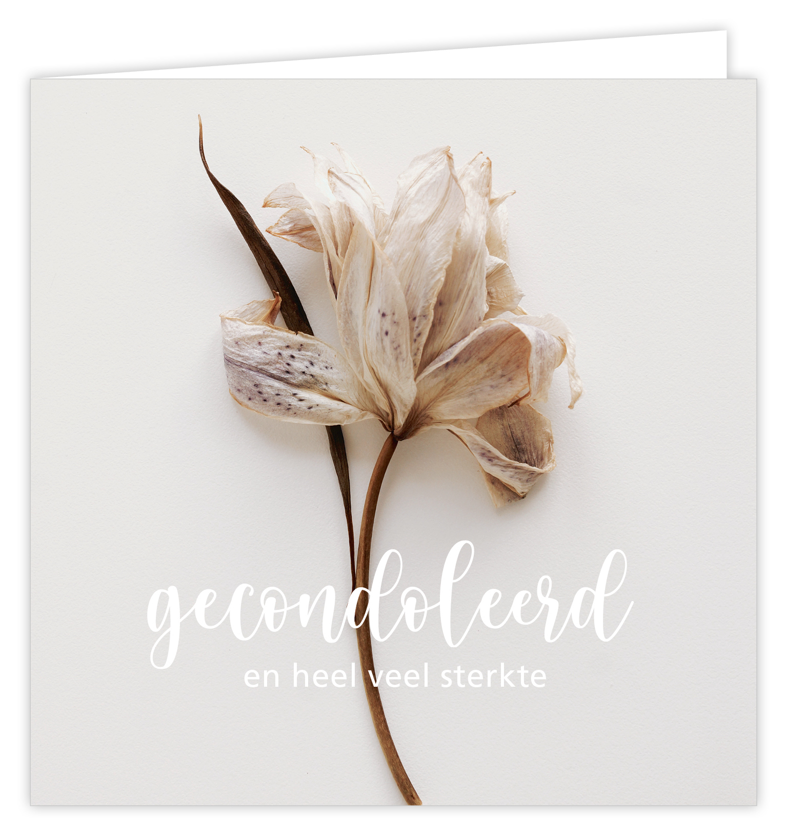 Dream Gecondoleerd en heel veel sterkte