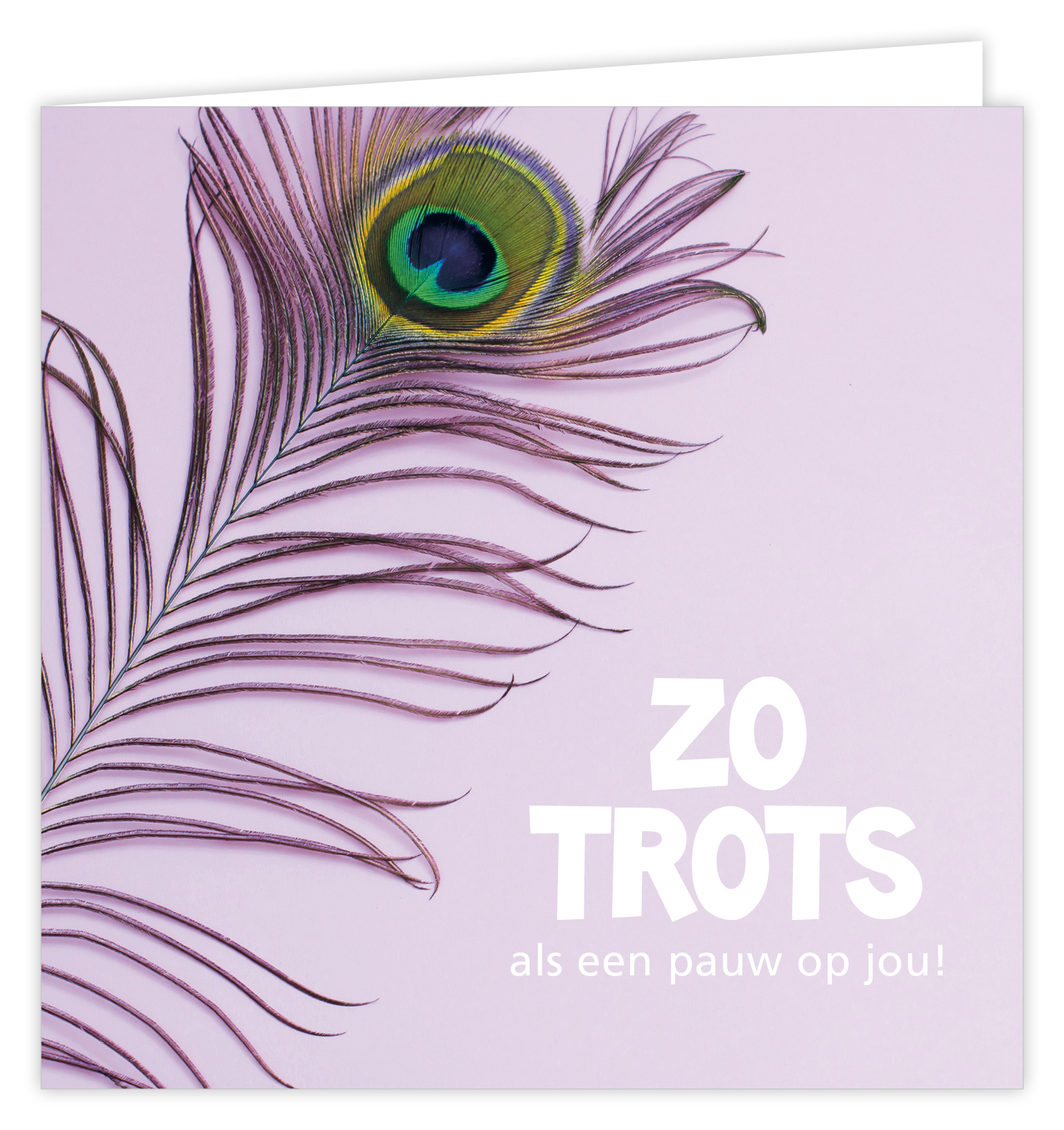 Dream Zo trots als een pauw op jou!