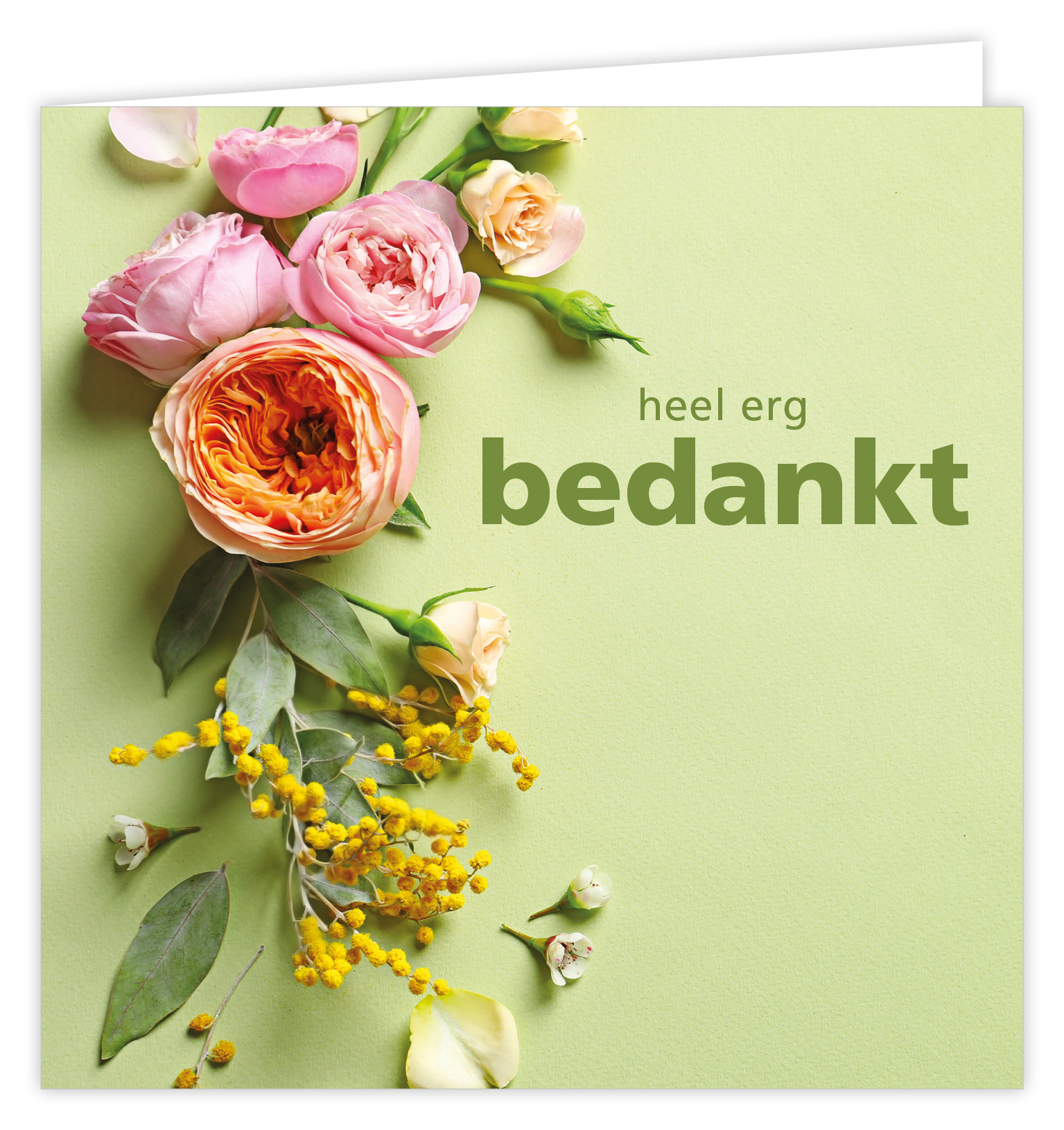 Dream Heel erg bedankt