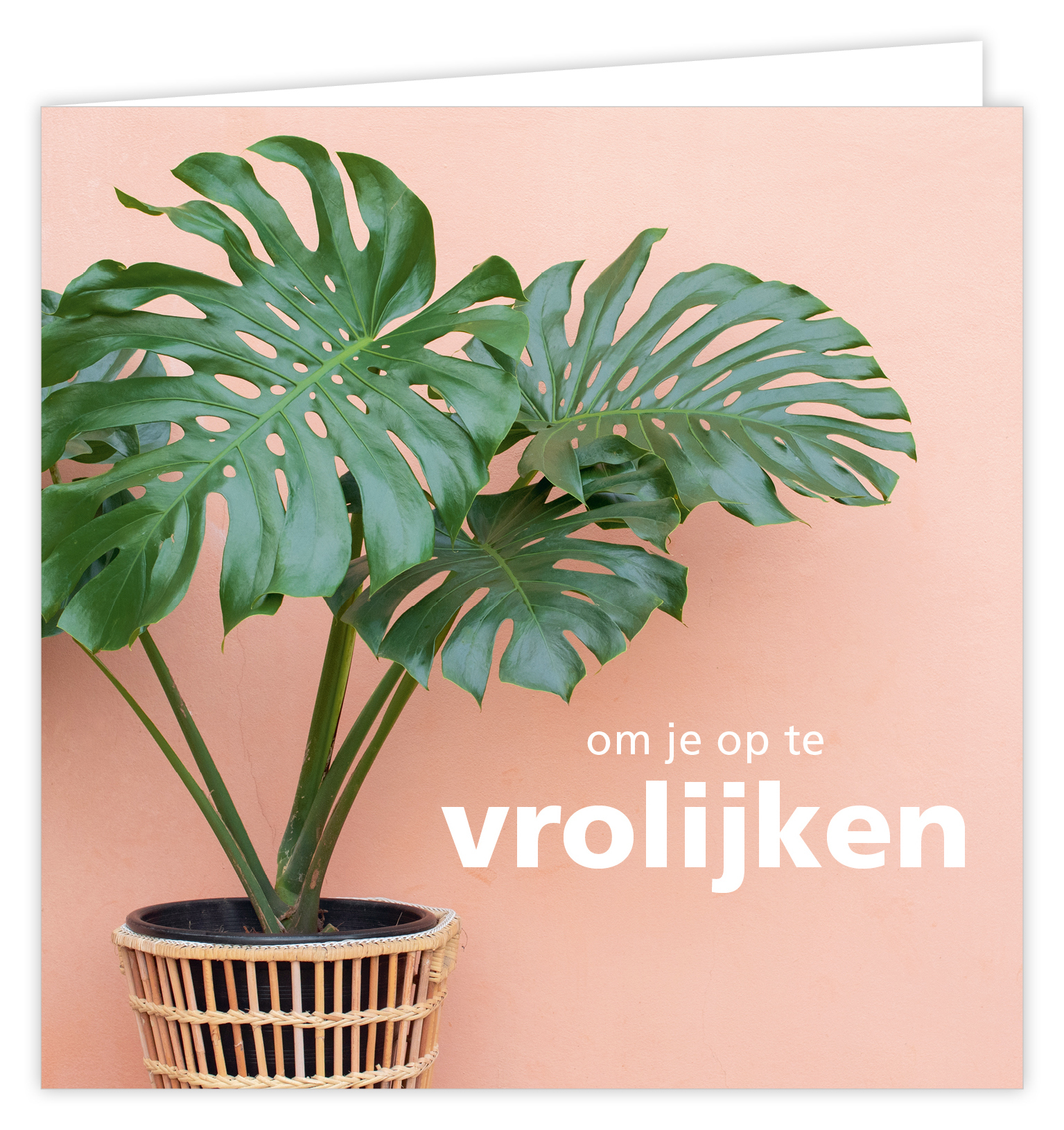 Dream Om je op te vrolijken