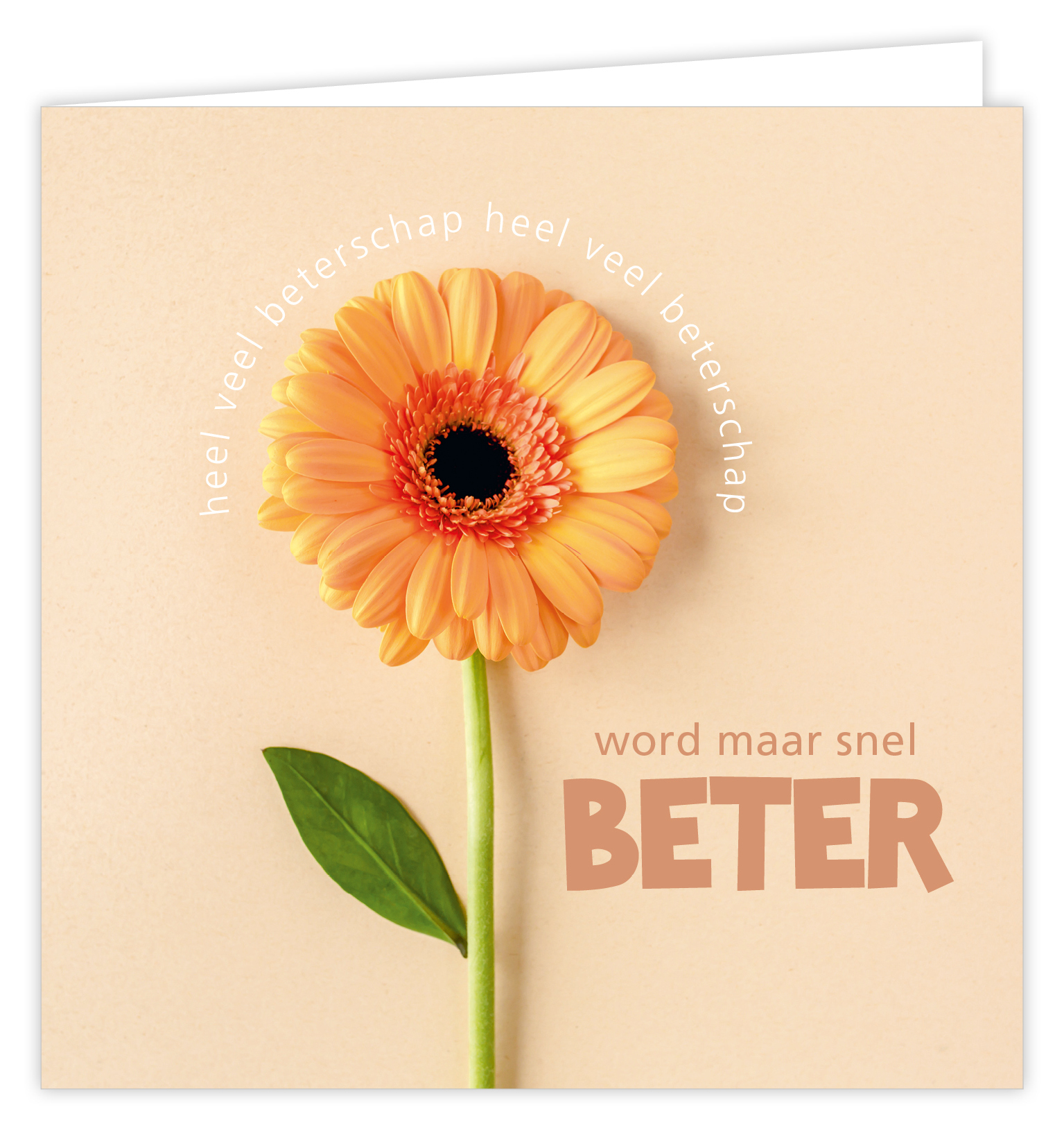 Dream Word maar snel beter