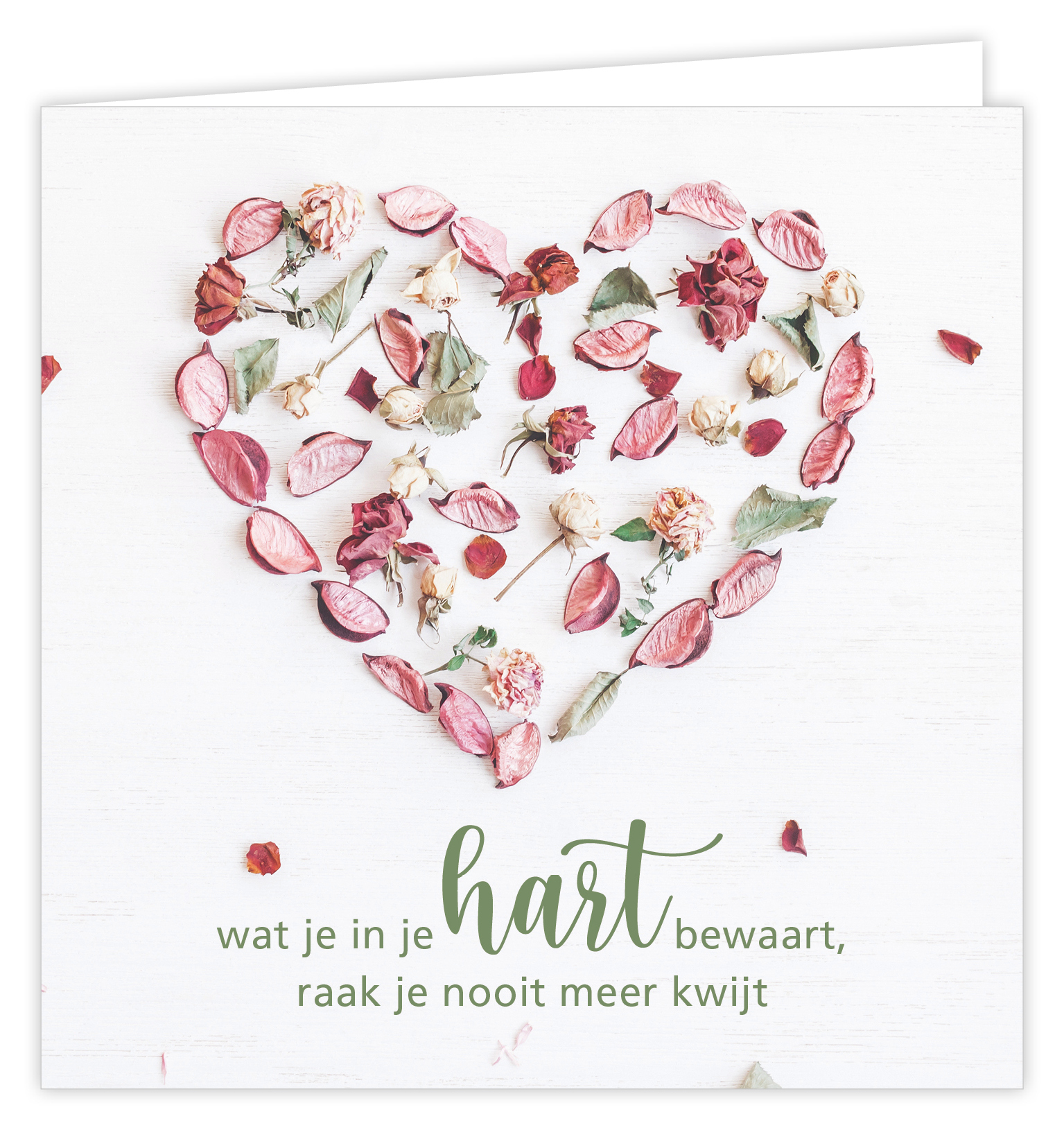 Dream Wat je in je hart bewaart, raak je nooit meer kwijt