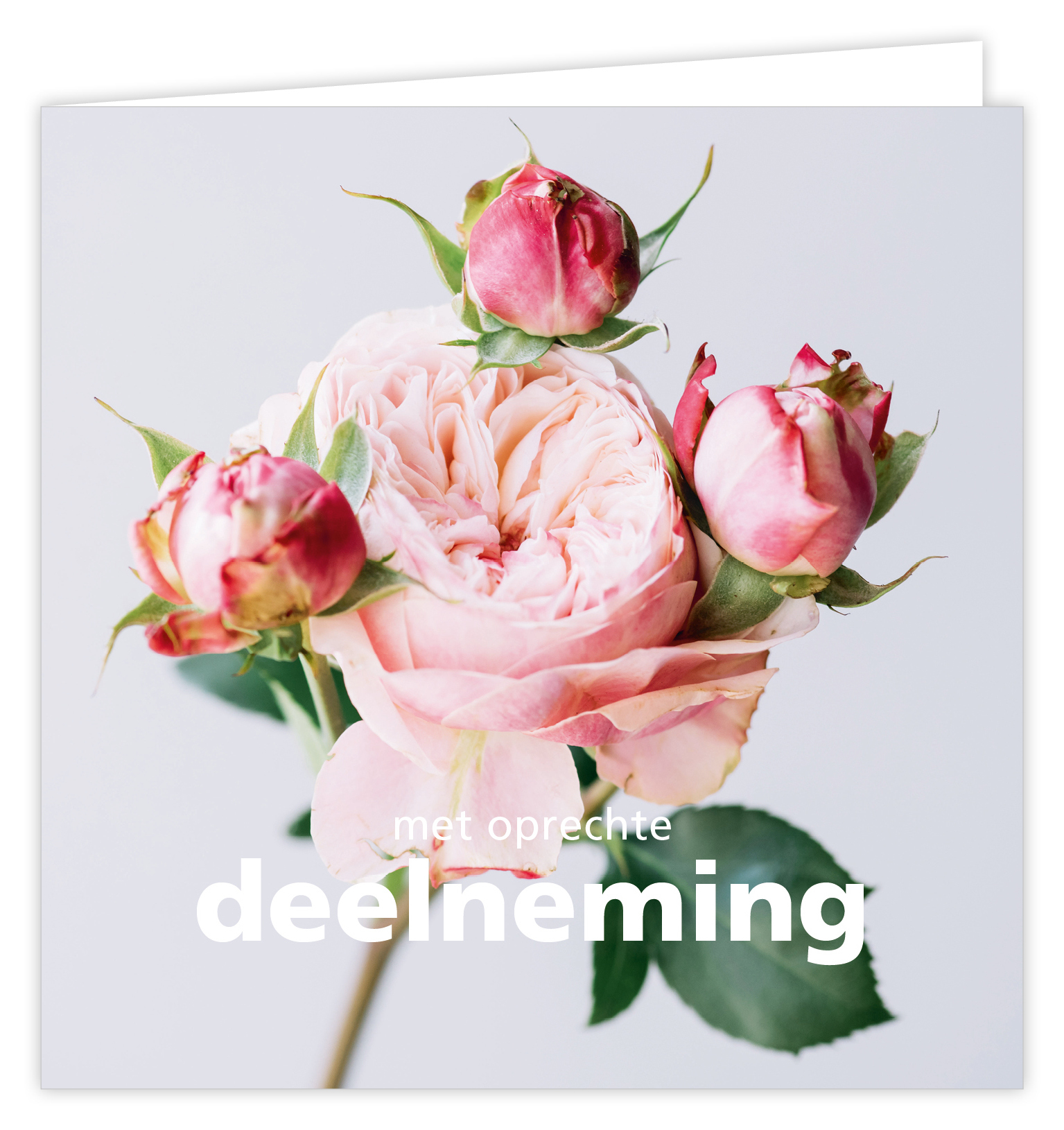 Dream Met oprechte deelneming