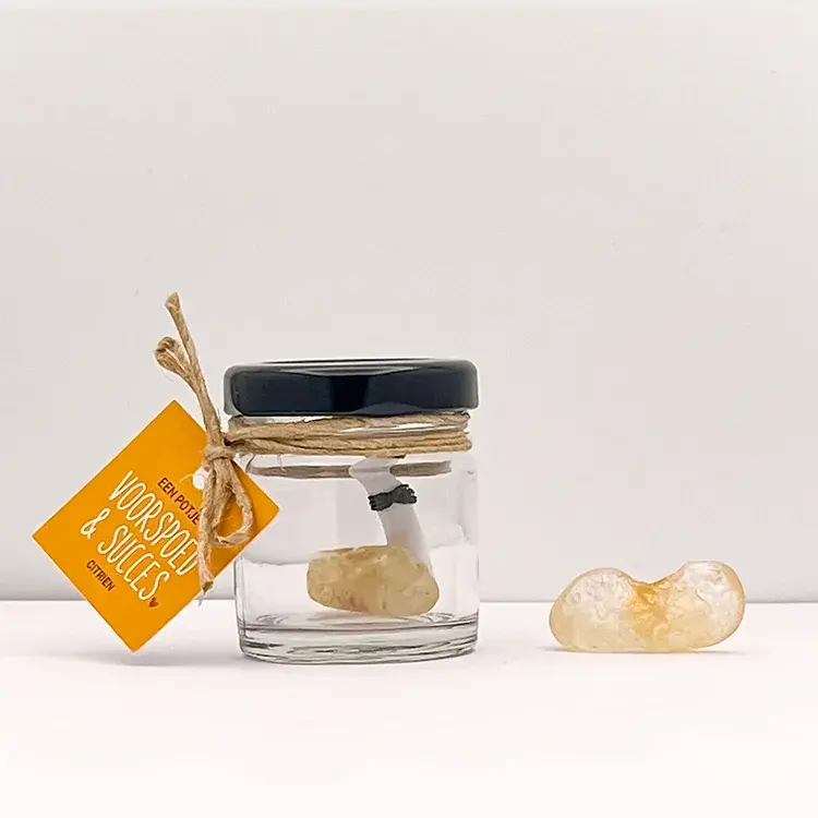 POTJE VOORSPOED & SUCCES