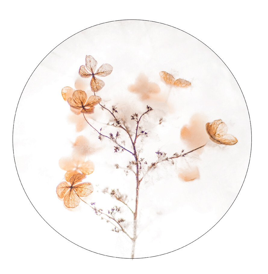 muurcirkel brown floral 40 cm