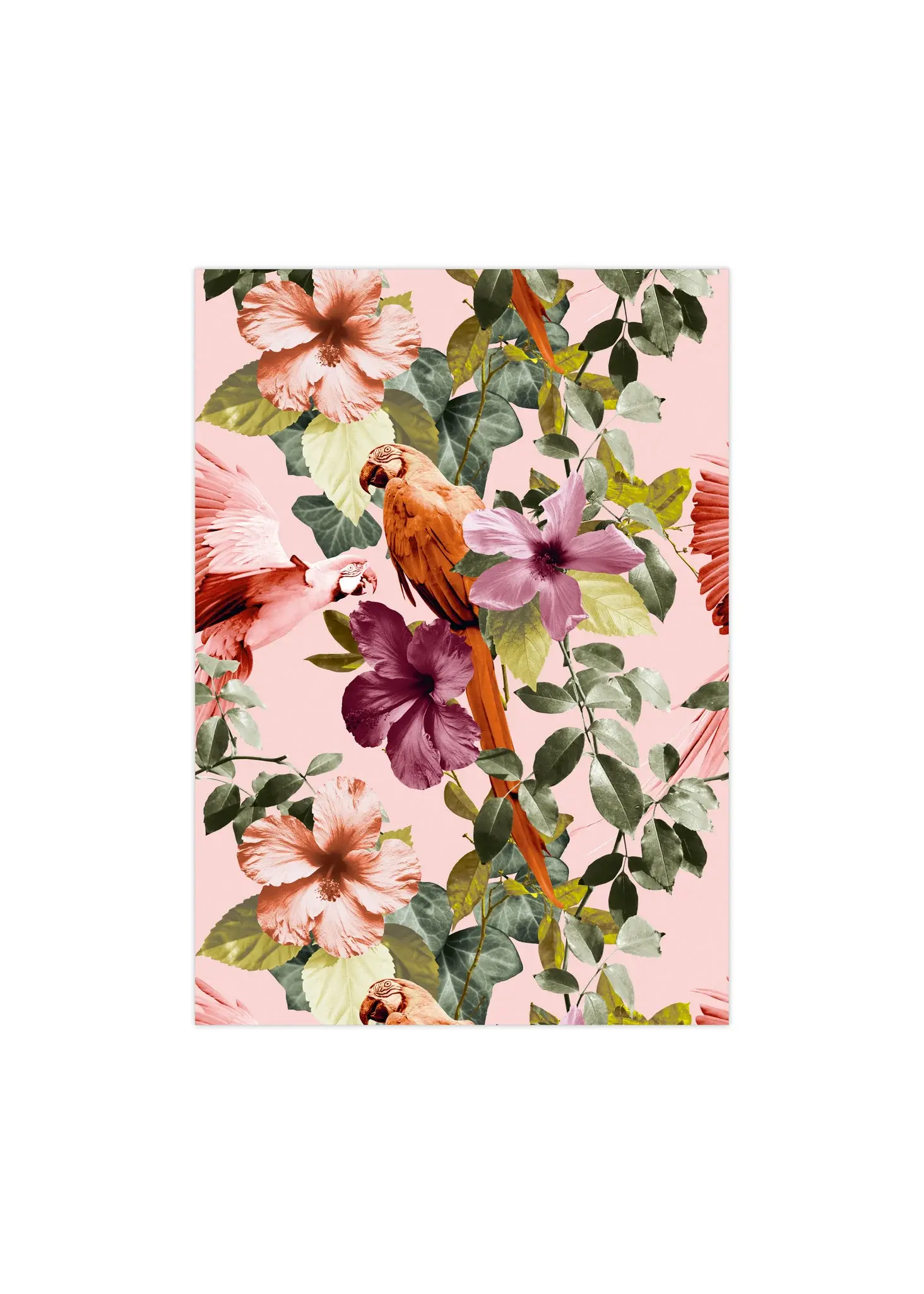 Poster A5 Papegaai Bloem