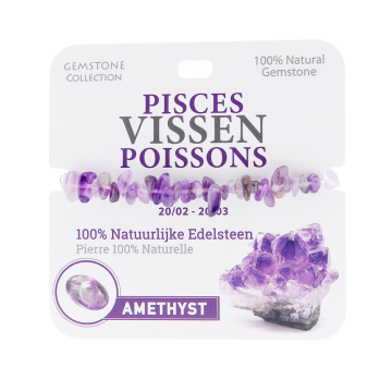 334001 Gemstone - Armband - Sterrenbeeld - Vissen