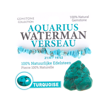 334012 Gemstone - Armband - Sterrenbeeld - Waterman