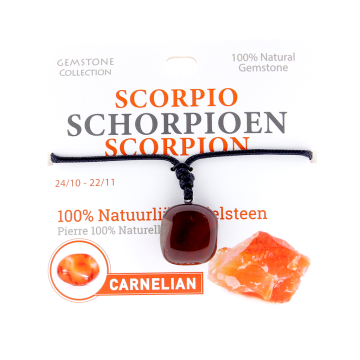 335009 Gemstone - Ketting - Sterrenbeeld - Schorpioen