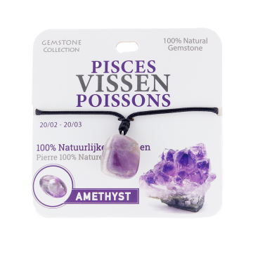 335001 Gemstone - Ketting - Sterrenbeeld - Vissen