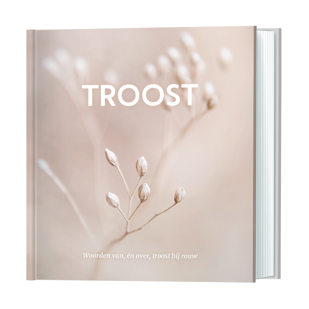 Troost