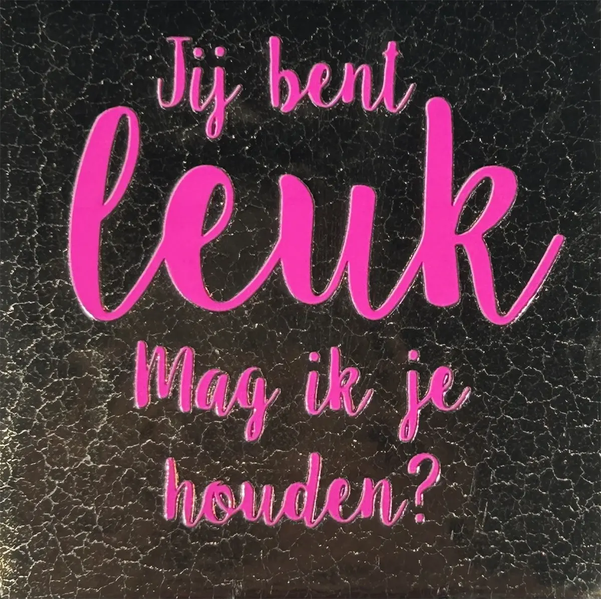 Tegeltje jij bent leuk goud