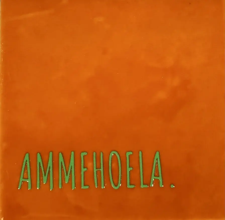 Tegeltje ammehoela oranje/appelgroen