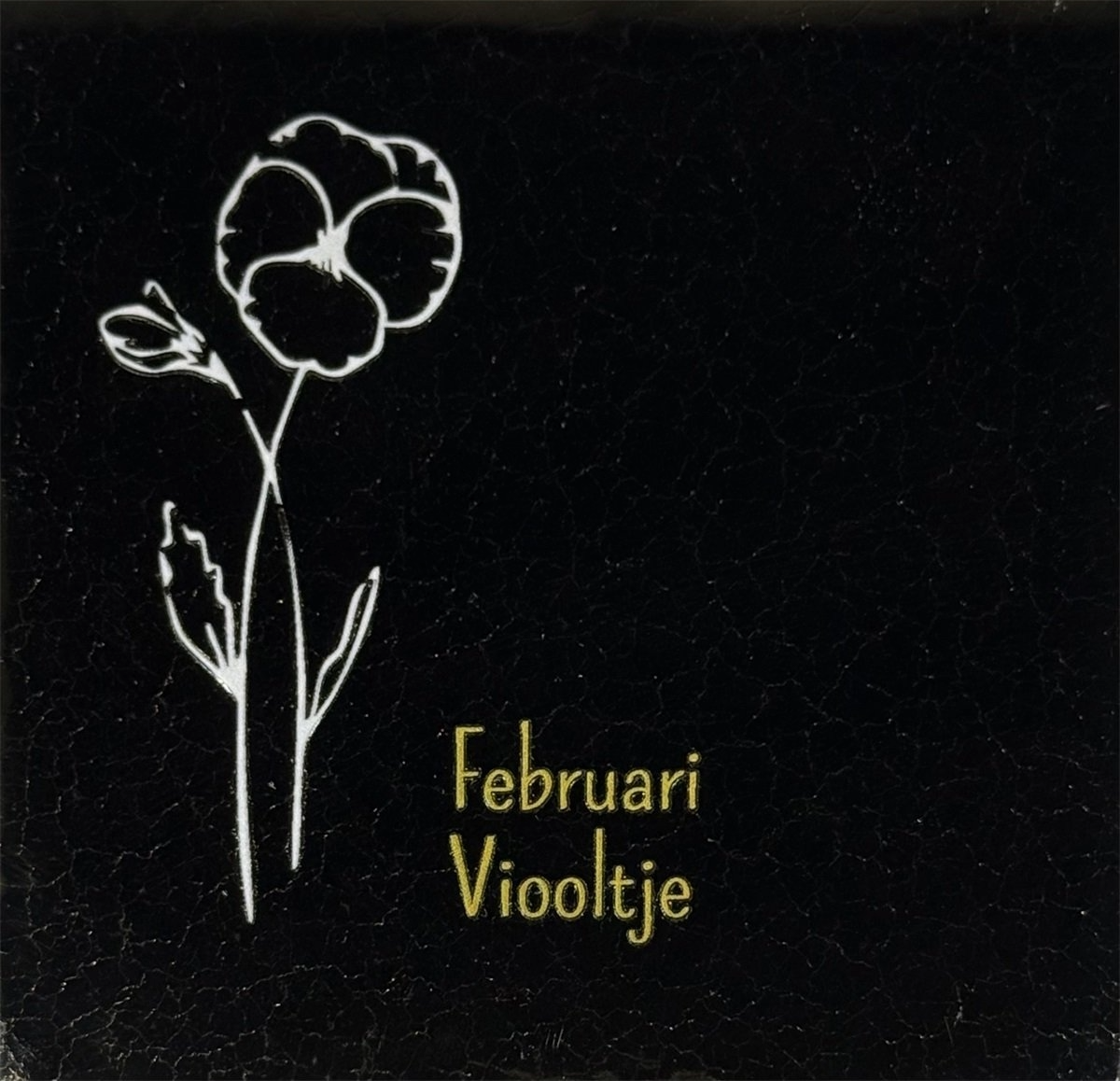 Geboortetegel Februari goud