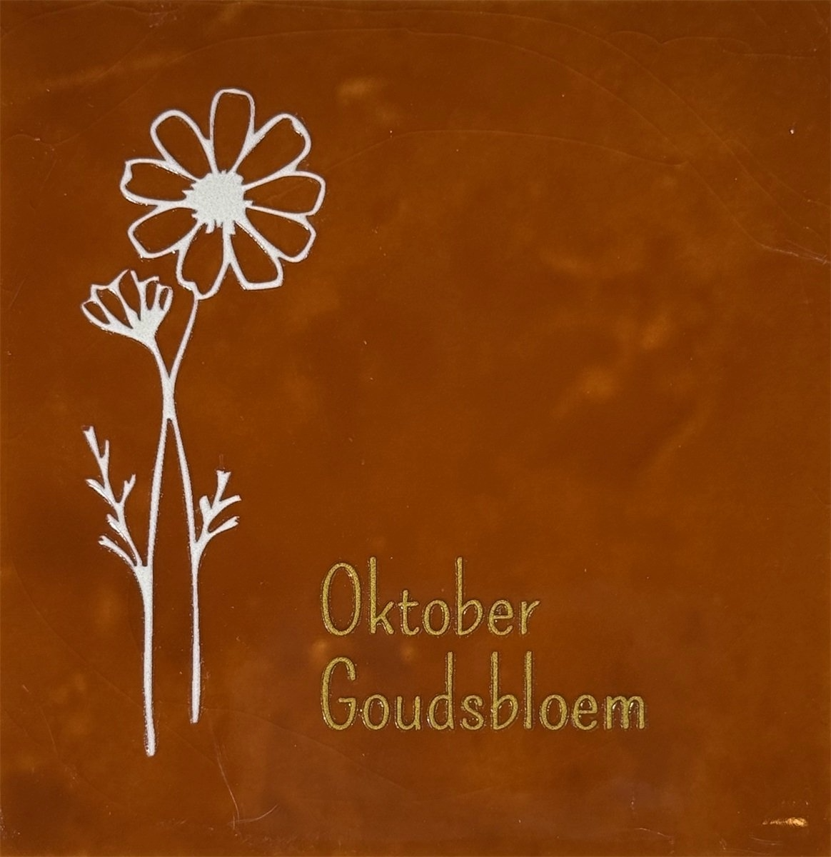 Geboortetegel Oktober terra